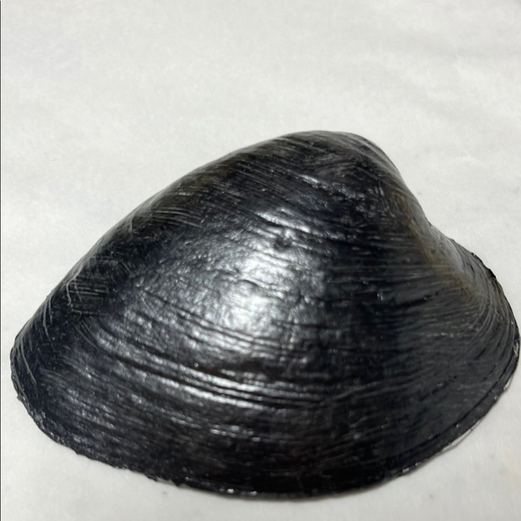 Hand Crafted Black & White Floral Trinket Dish - Picture 3 of 9